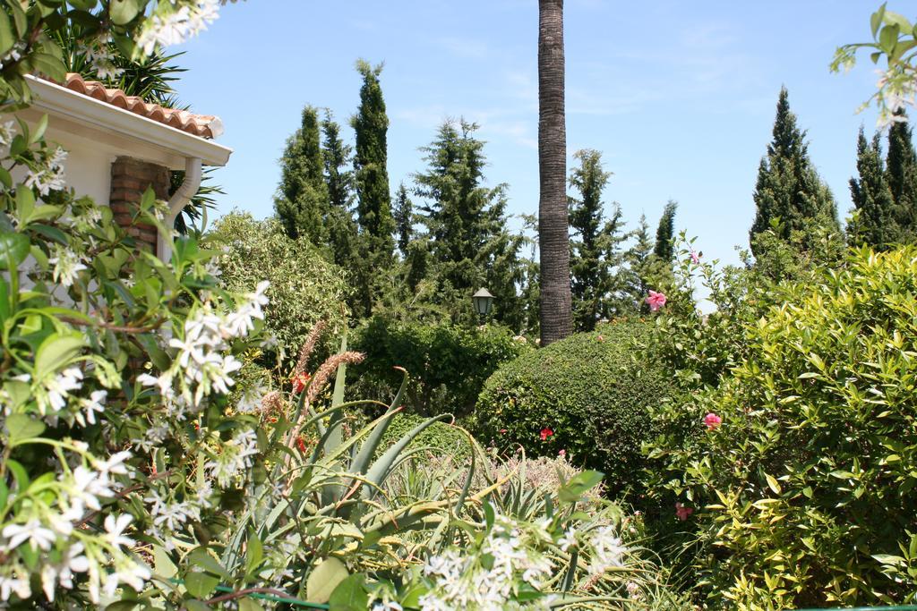 Bed and Breakfast Cortijo Andaluz Alhaurín el Grande Exterior foto