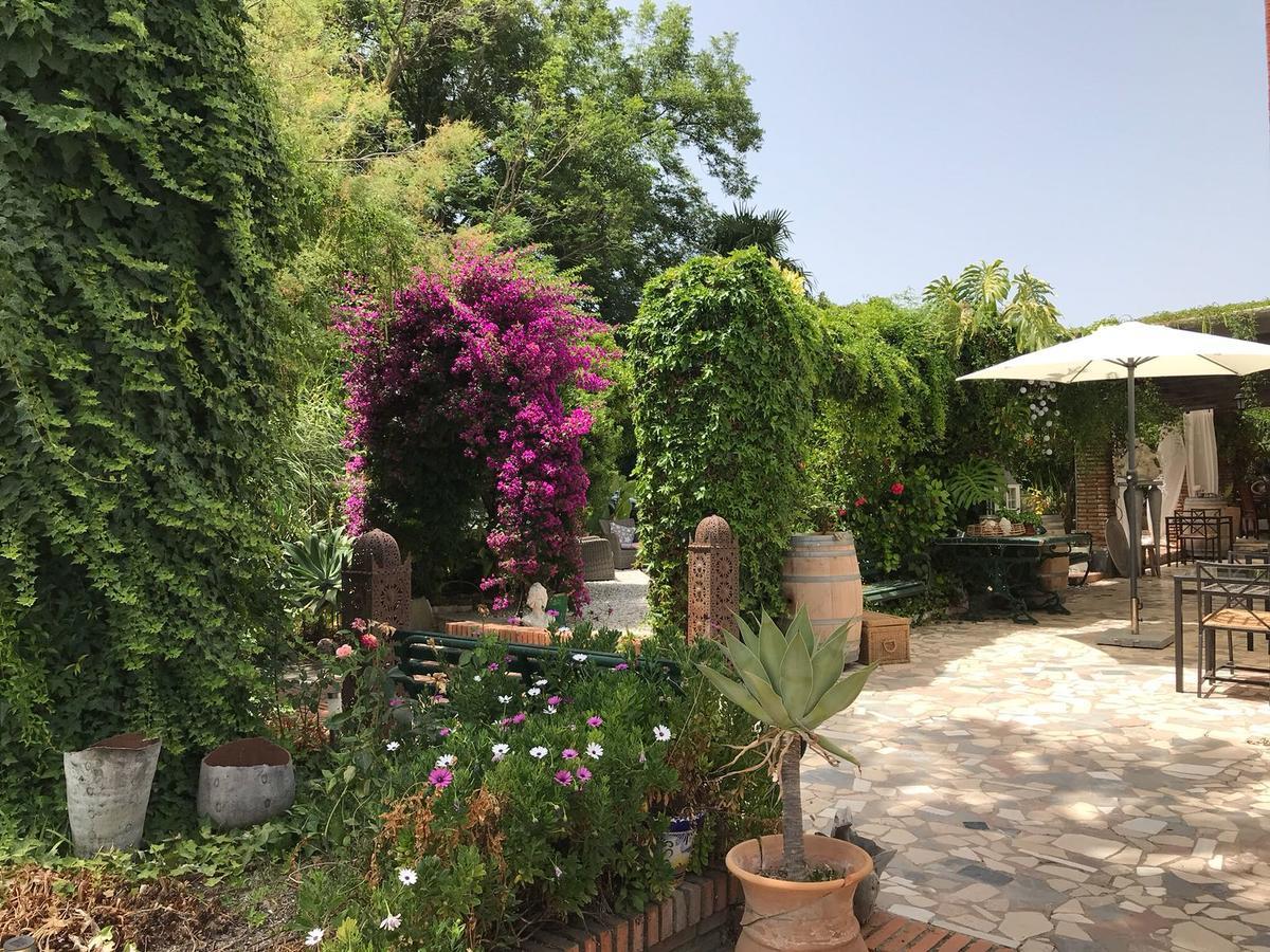 Bed and Breakfast Cortijo Andaluz Alhaurín el Grande Exterior foto