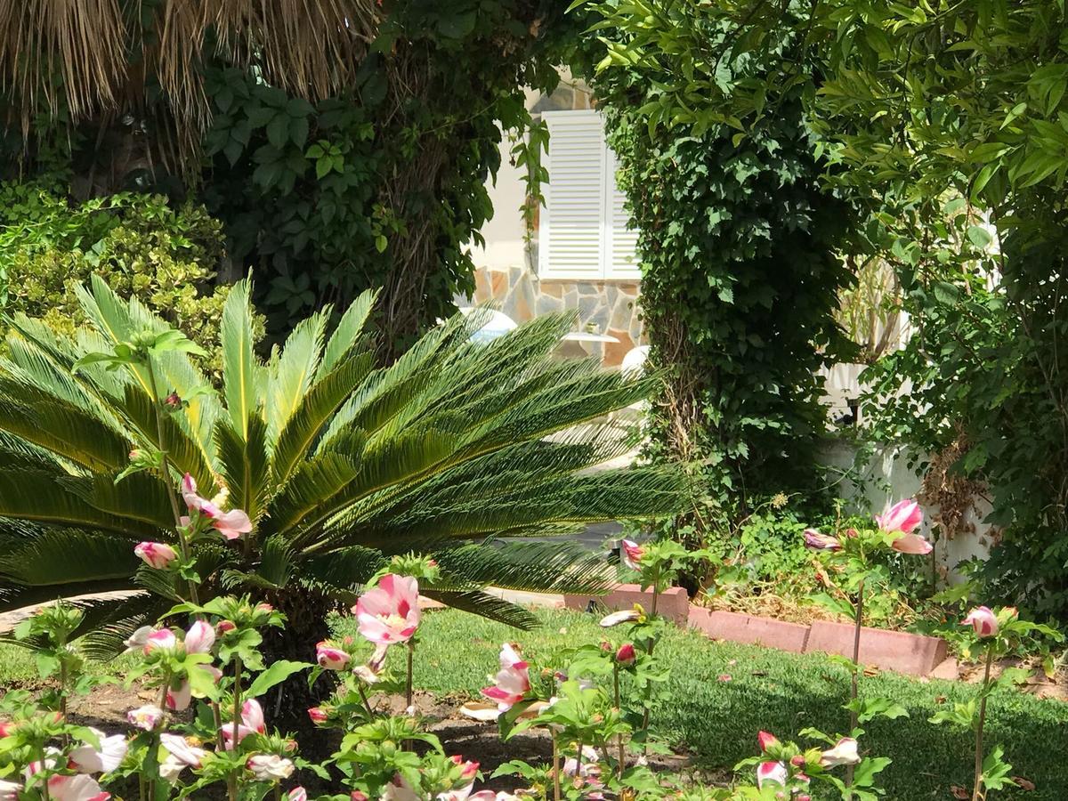Bed and Breakfast Cortijo Andaluz Alhaurín el Grande Exterior foto